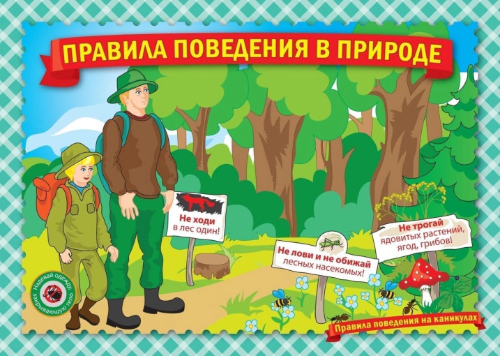 Правила безопасного поведения детей во время отдыха на природе Правила безопасного поведения детей во время отдыха на природе.